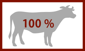 100 % Rindfleisch - ohne Schweinefleisch